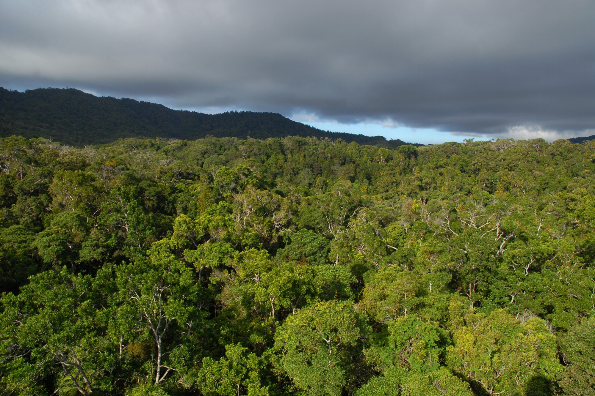 Queensland National Parks