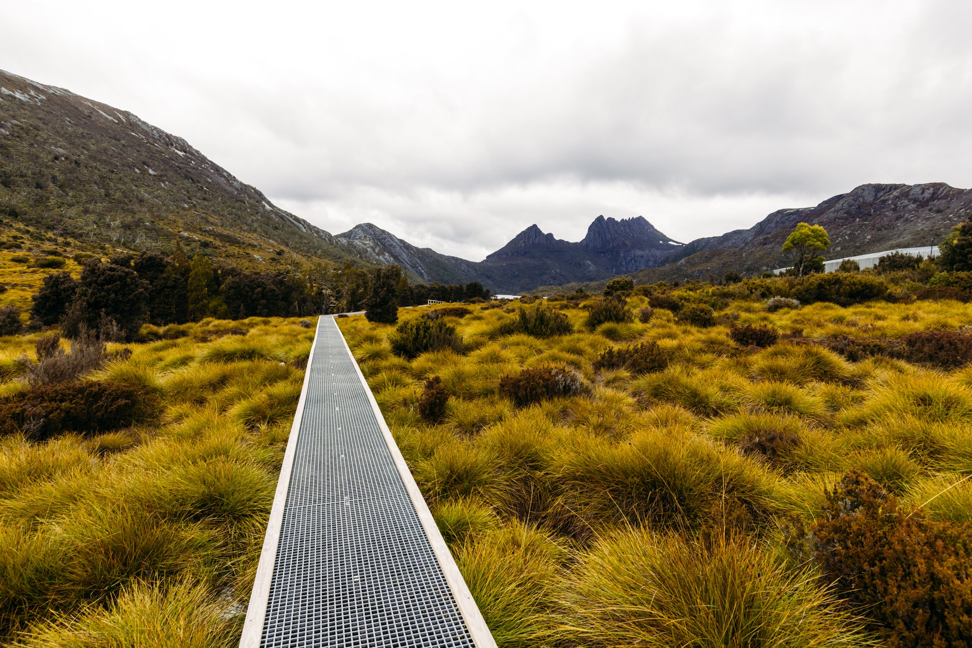 Tasmania Wilderness Tour Tour 3